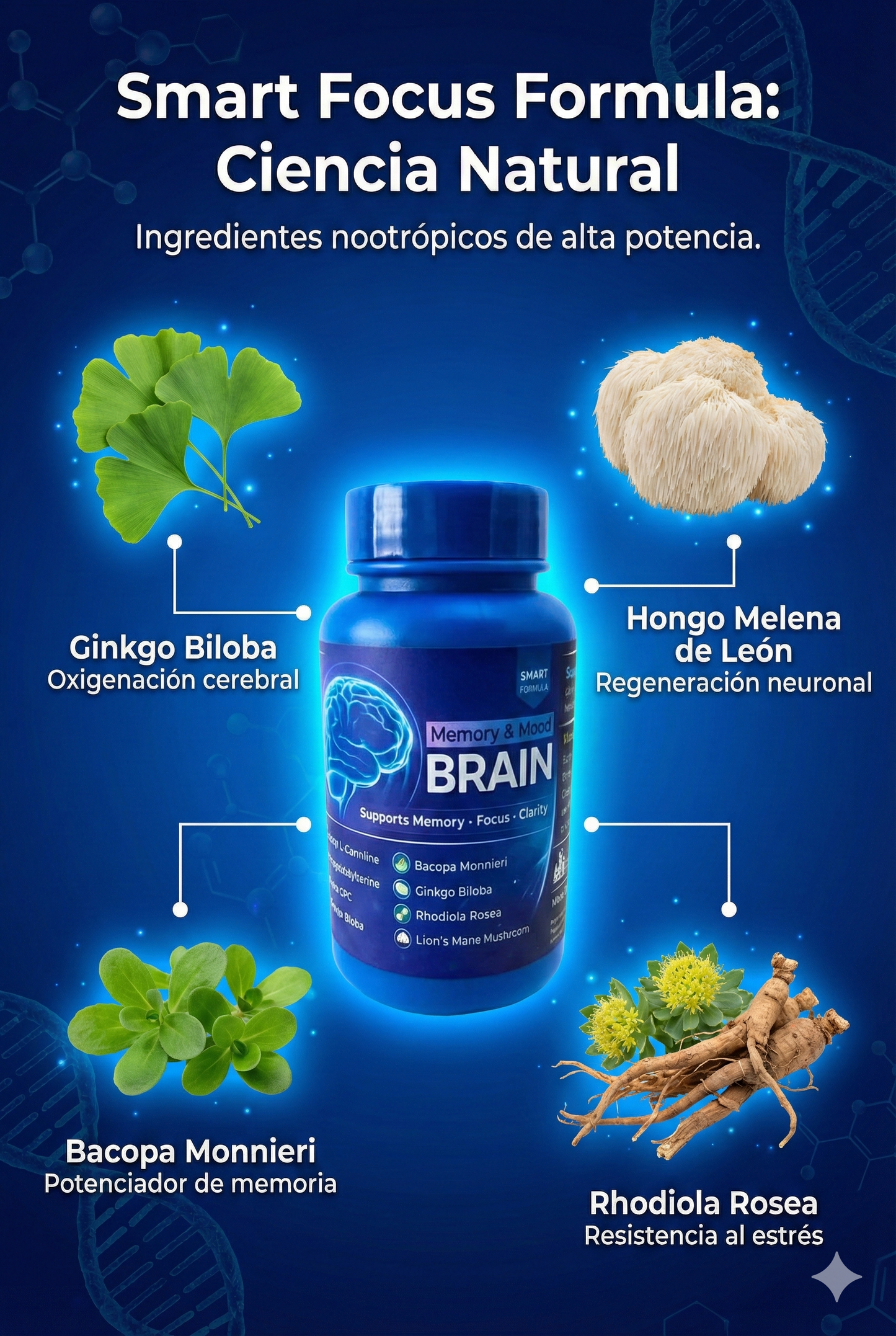 Neuro Brian