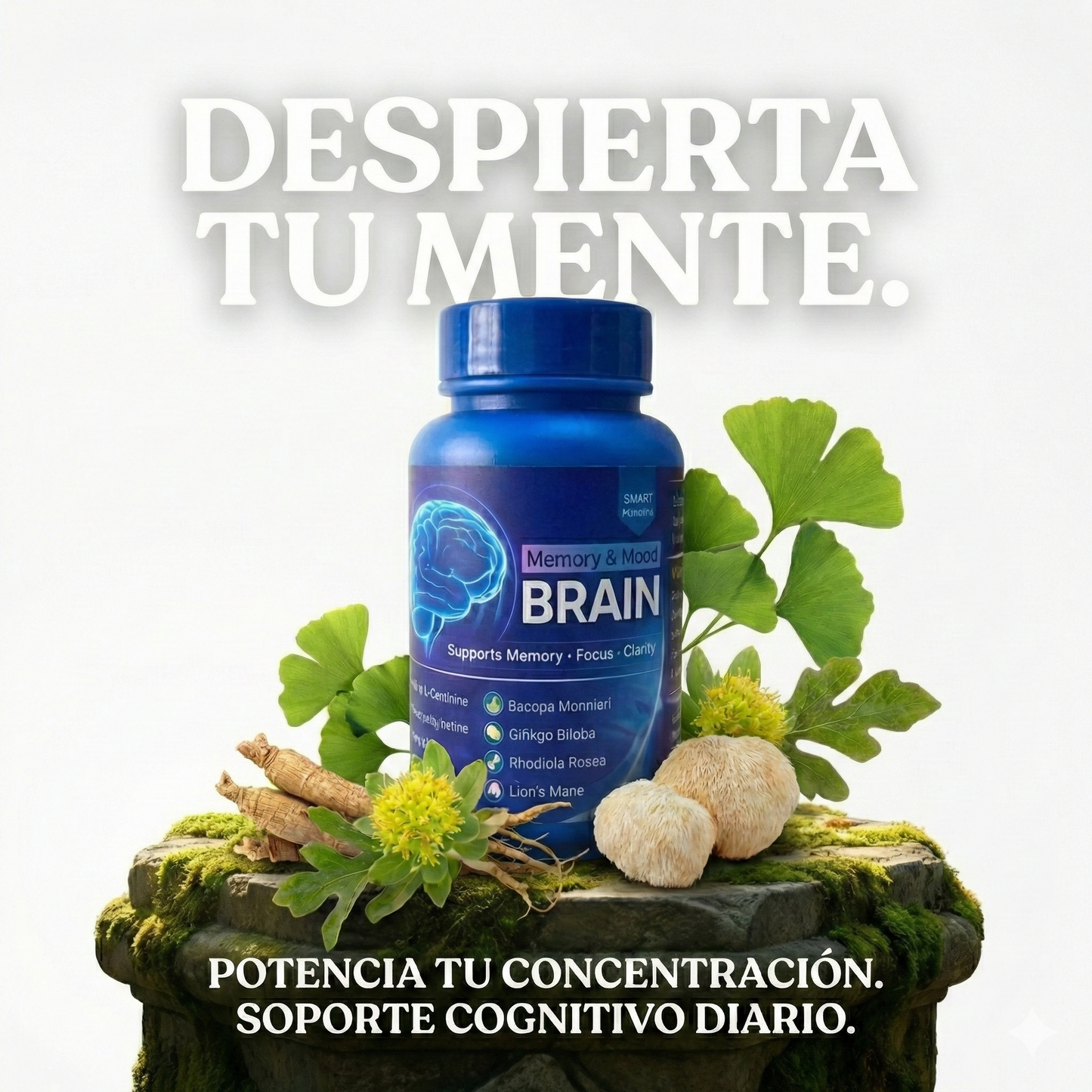 Neuro Brian
